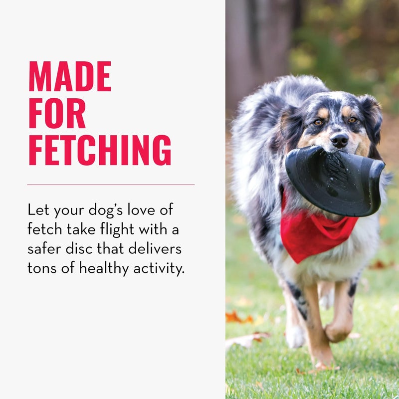 KONG Extreme Flyer - Dog Toy Supports Healthy Exercise - Soft Disc for Dogs - Toy for Fetch & Retrieve - Durable Flying Disc Dog Toy with Rebound - for Large Dogs - Image 2